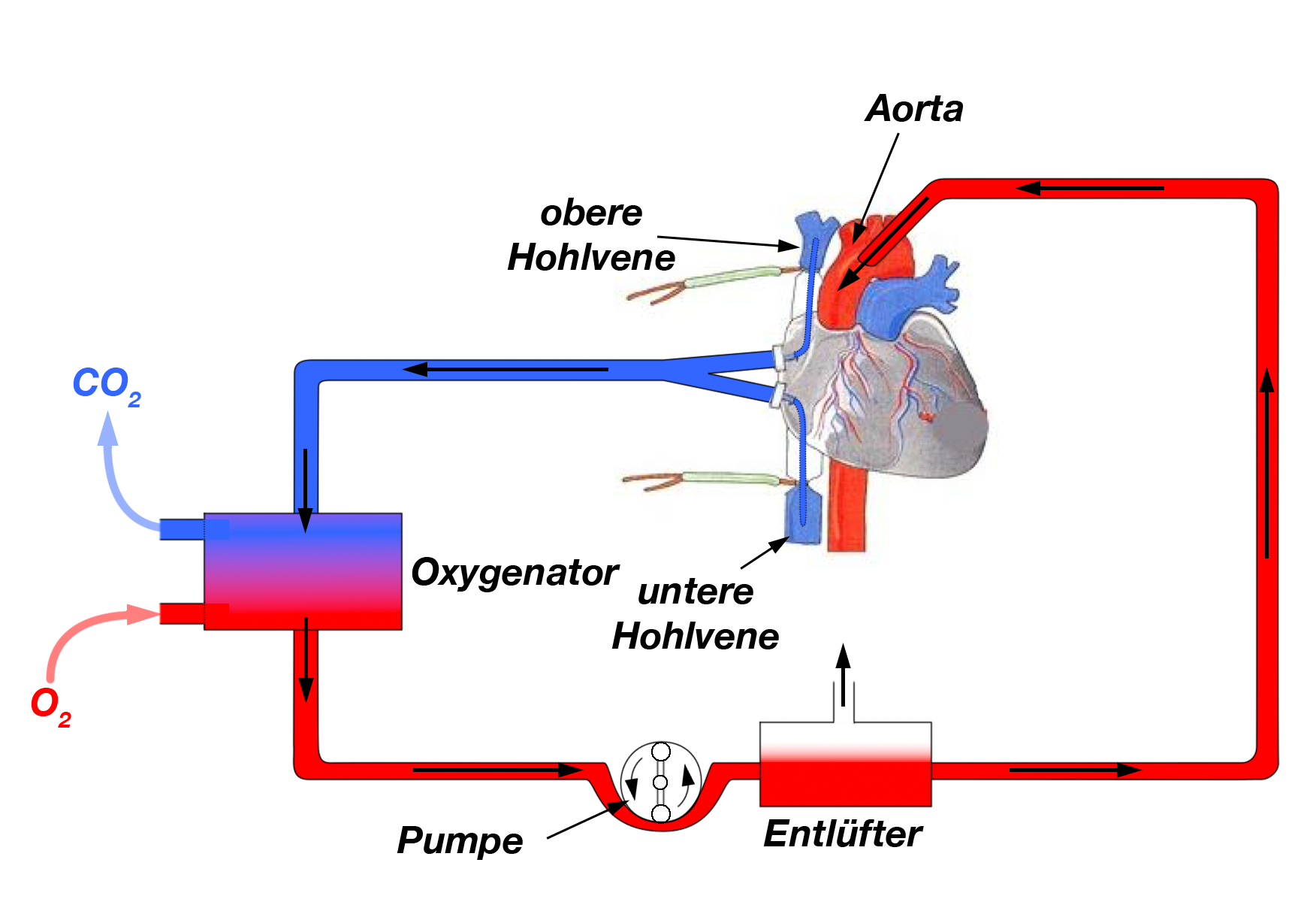 Elektrik